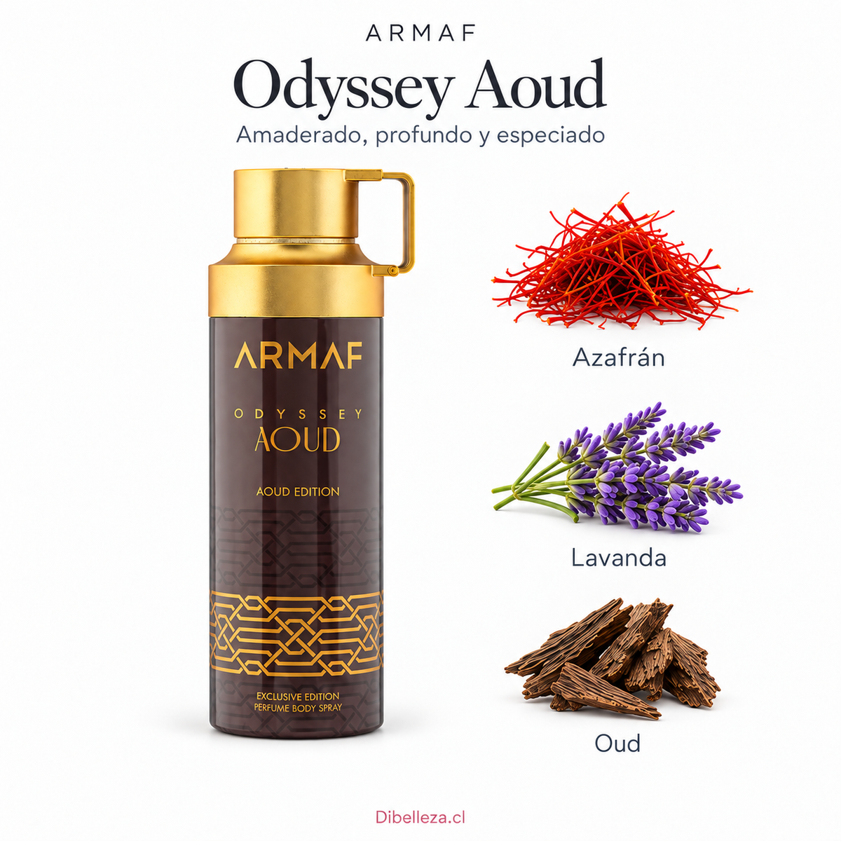 Spray Perfume AOUD de Armaf 200 ml